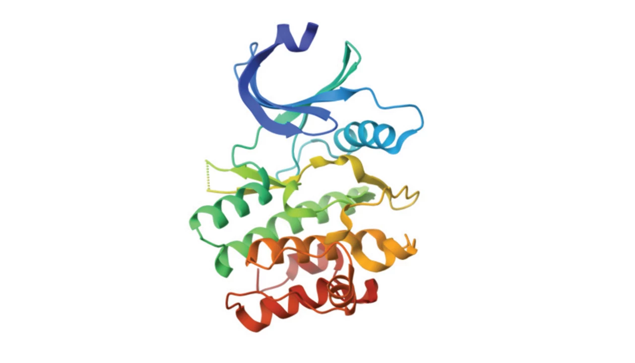 A computational shortcut to selectivity creates precise kinase inhibitors