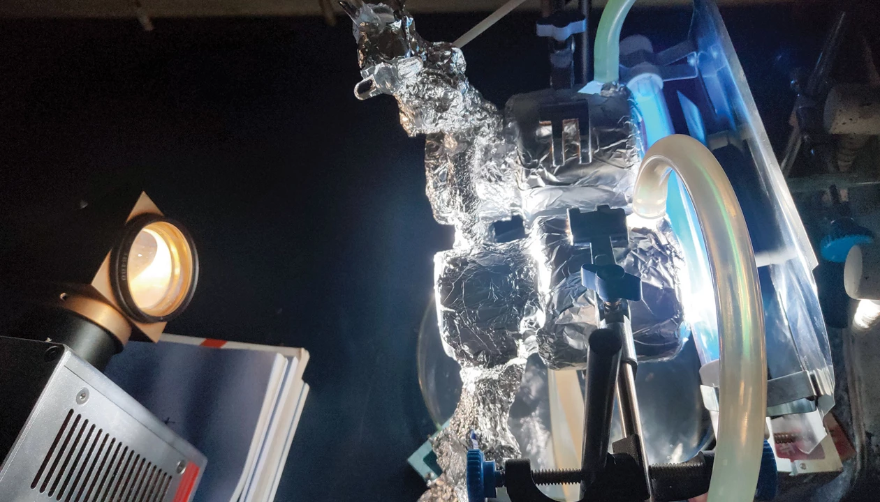 Light turns carbon dioxide and methane into useful chemicals