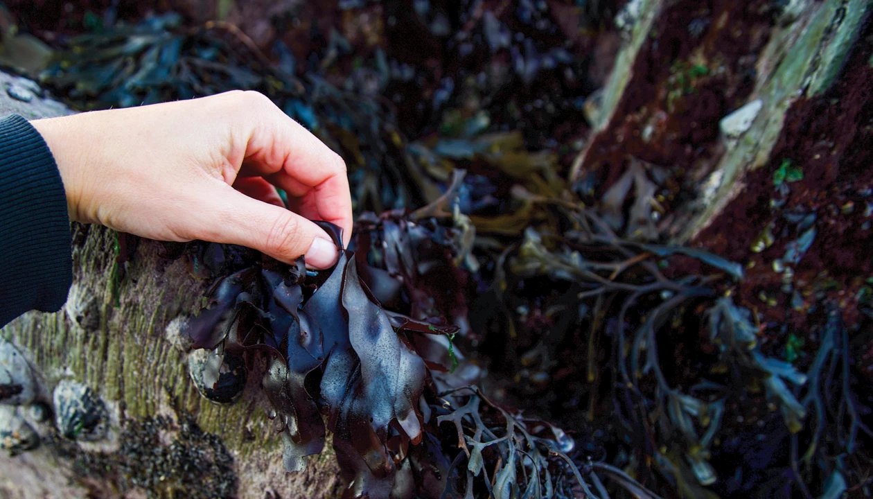 Cost-effective-and-eco-