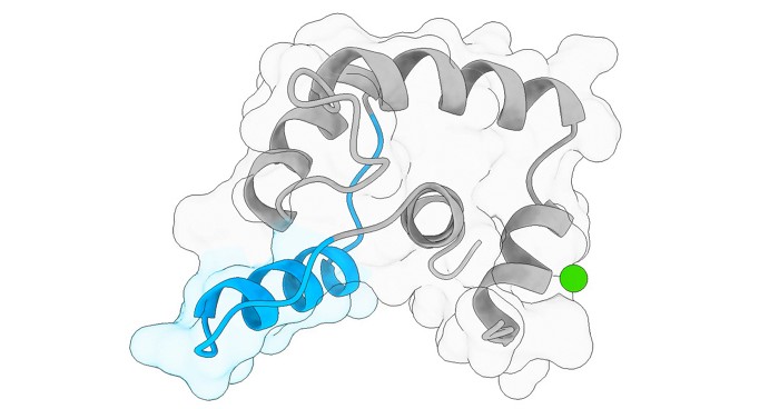 Scientists design proteins that can change their shapes