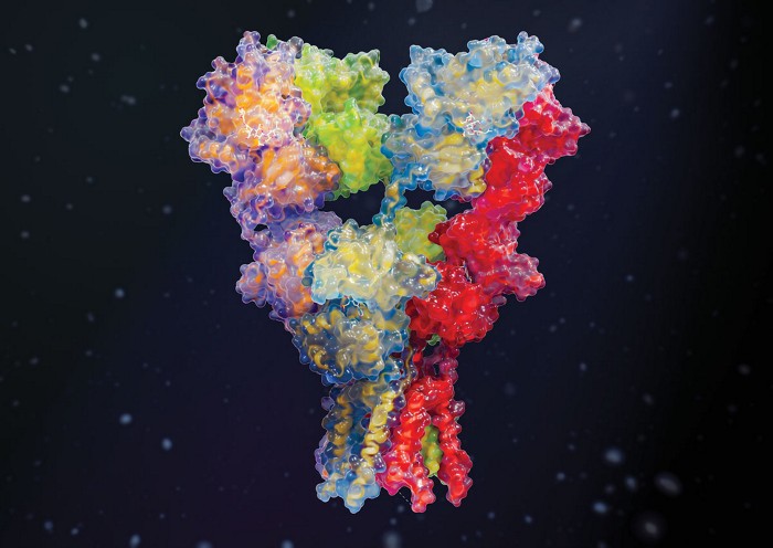 Draig Therapeutics flies out of stealth to treat depression