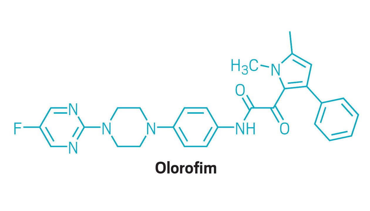 First antifungal in new class succeeds in Phase 3 trial