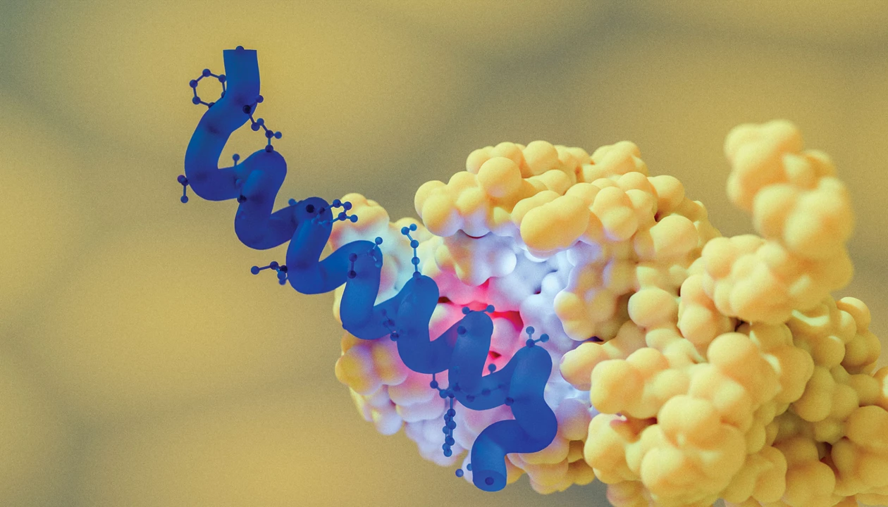 ProLynx raises $70 million to develop its long-lasting weight-loss drug pipeline