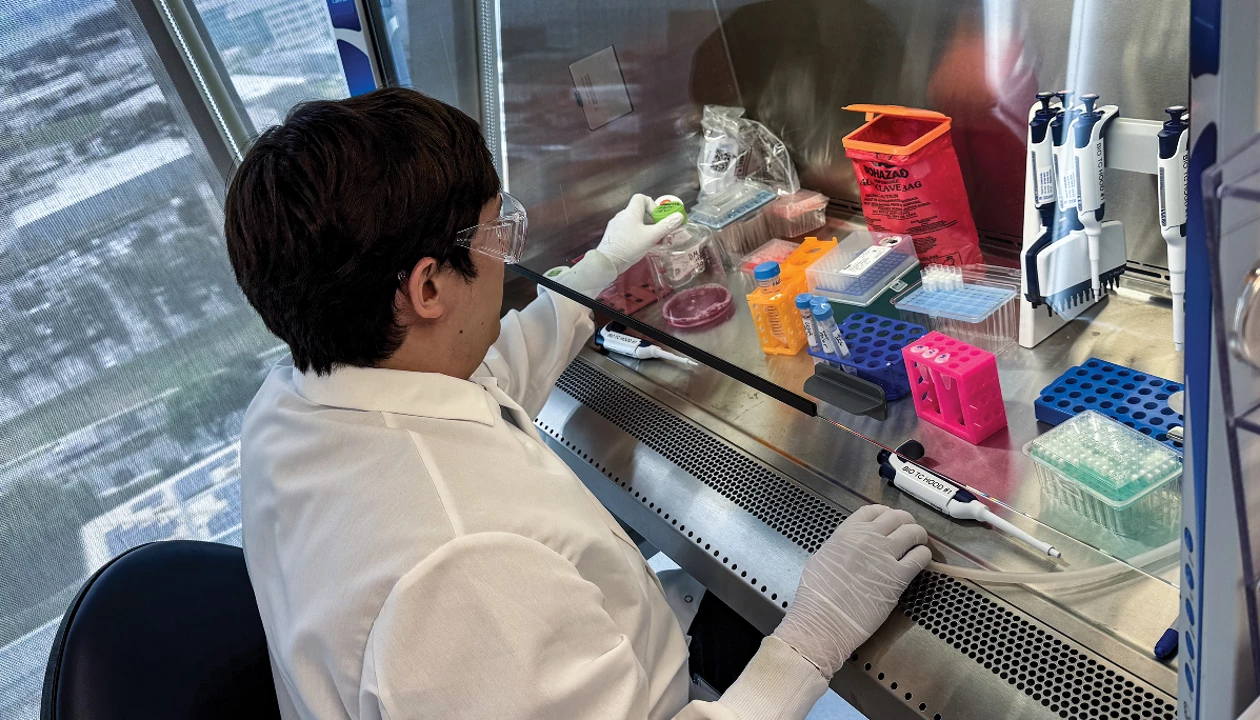 健康・医学 Tuberculosis The Population Dynamics and Control of Tuberculosis | Science