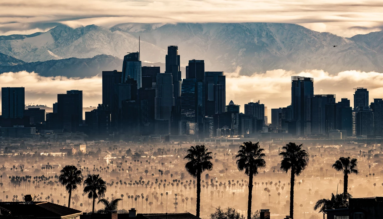 Palm trees and tall buildings in Los Angeles are silhouetted against fog in low-lying areas.