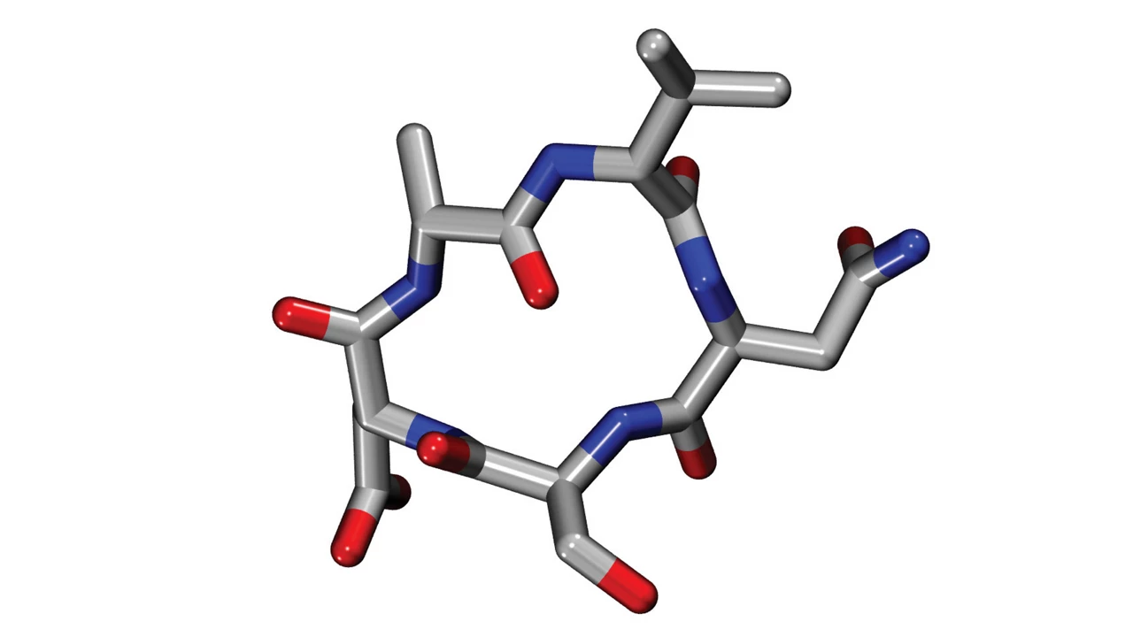 Cyclic peptides are having a moment