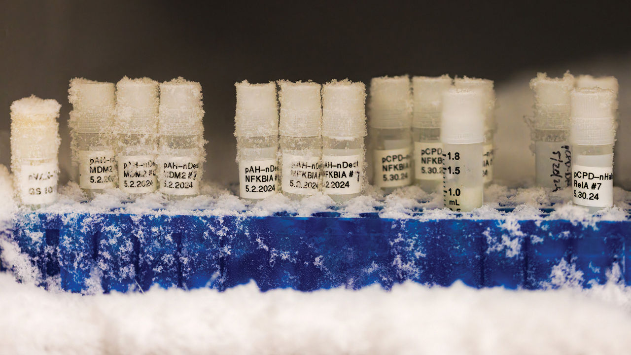 simple peptide tirzepatide reddit When the Transition Goes Wrong: A Rare Case of Diabetic Ketoalkalosis After Transitioning to in Insulin-dependent Type 2 Diabetes Modular syntheses: Putting function first