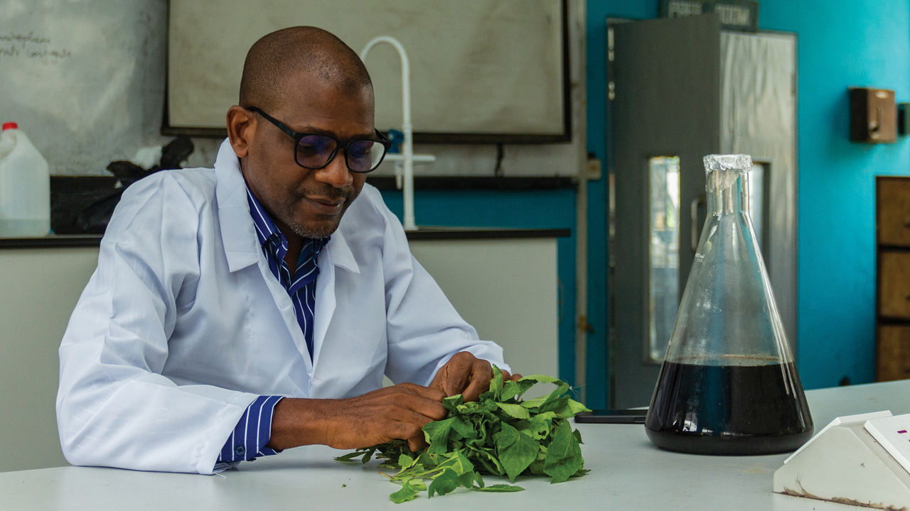 Why Nigeria’s antibiotic leads stall at the lab bench