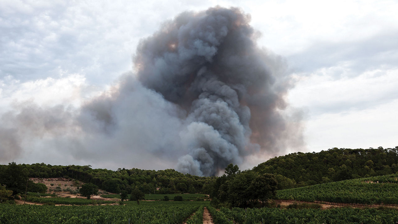Gray billows of smoke rise high into a cloudy sky in the distance, behind green trees. In the foreground are rows of green plants.