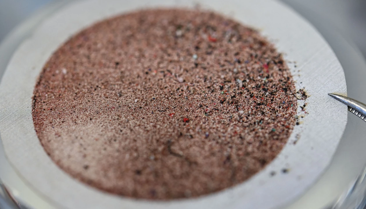 Do we really have enough plastic in our brains to make a spoon?