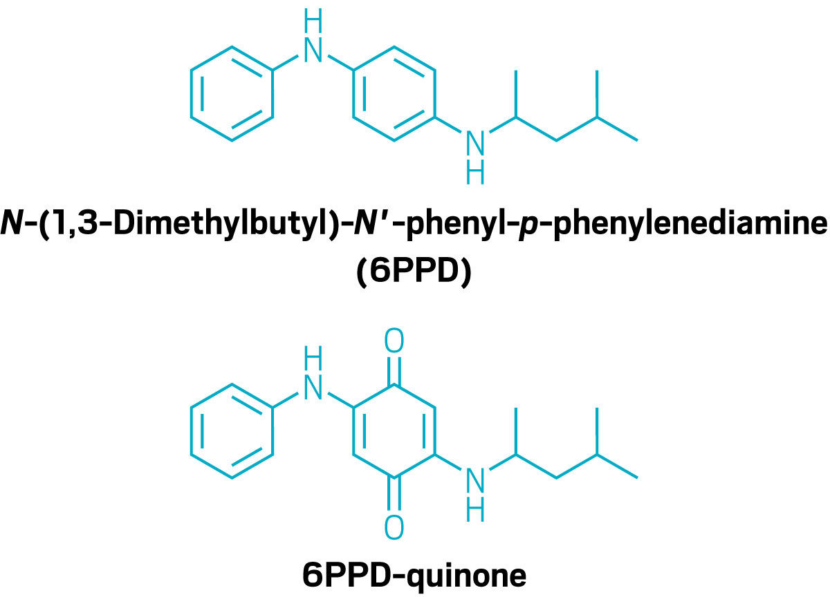Structures of 6PPD and 6PPD-quinone.
