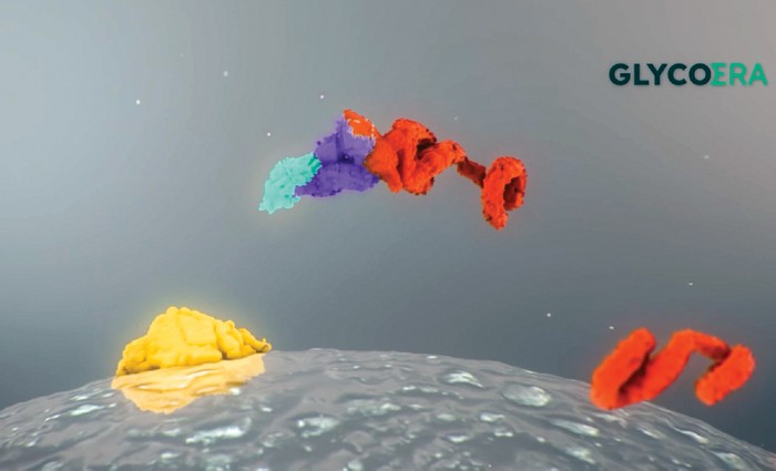Extracellular degrader firm raises $130 million to advance into the clinic
