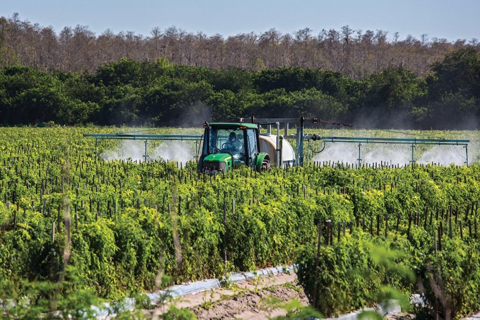 How will Trump treat pesticide regulation?