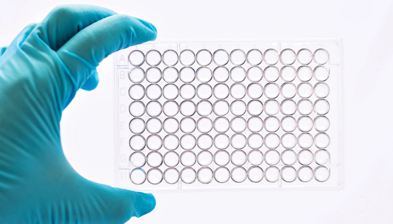 How to put drug leads forgotten in the freezer back to work