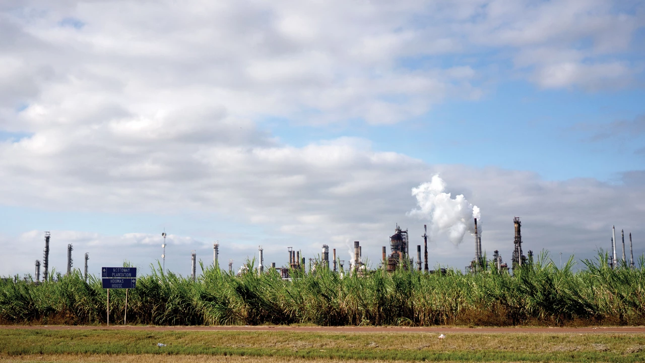 Plumes wafting out of an industrial facility that’s behind a sugarcane field.