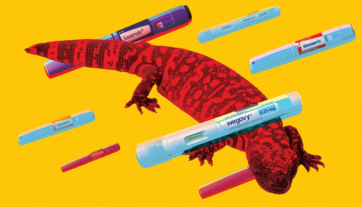 A collage shows a red Gila monster surrounded by Wegovy, Ozempic, and Saxenda injectable drugs against a yellow background.