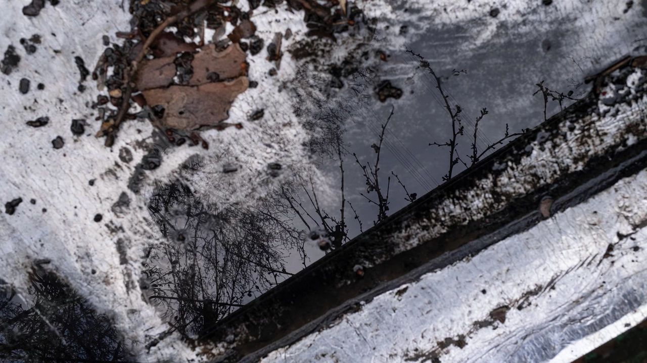 Close-up of a dark, oily residue on water showing a reflection of trees.