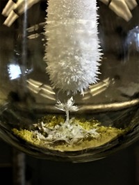 Serving the chemical, life science, and laboratory worlds