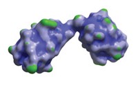 Serving the chemical, life science, and laboratory worlds