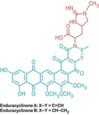 Serving the chemical, life science, and laboratory worlds