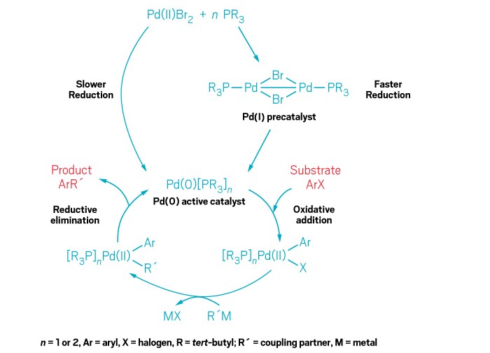 Chemists-get-better-acquainted-with-palladium-catalysts