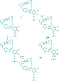 Serving the chemical, life science, and laboratory worlds