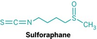 Serving the chemical, life science, and laboratory worlds