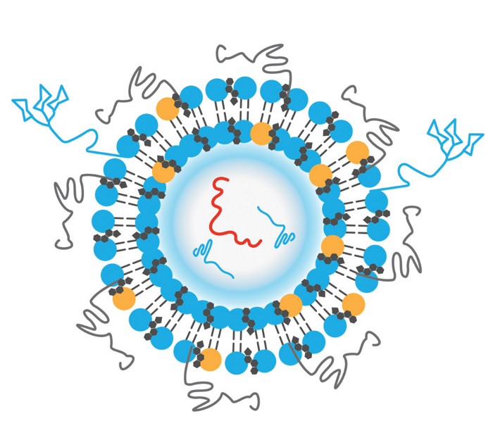 Lilly to acquire Verve Therapeutics for $1.3 billion