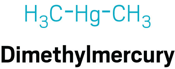 Chemical structure of dimethylmercury.