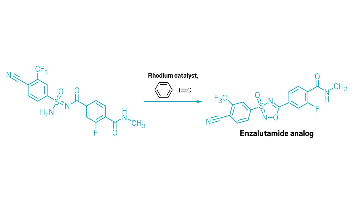 Scheme showing the cyclization of a sulfonimidamide to make an enzalutamide analog.