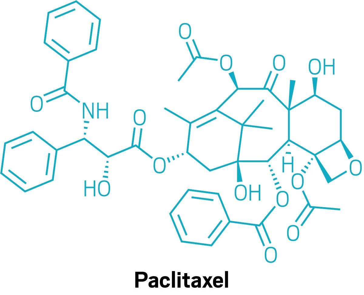 The structure of paclitaxel.