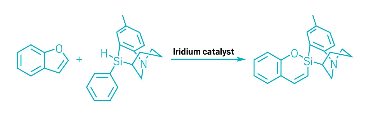 A diagram showing chemical structures and a reaction pathway. A reaction between benzofuran, an arylsilane, and an iridium catalyst inserts the silicon atom into the furan ring with complex substituents, including an aryl group bonded to a nitrogen-containing ring.