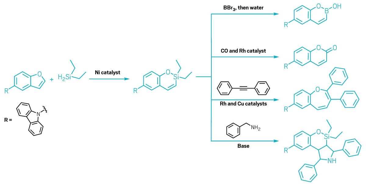 A diagram showing chemical structures and reaction pathways. First a benzoxyfuran reacts with diethylsilane and a nickel catalyst to incorporate the diethylsilyl group into the furan ring. Then, that expanded ring can react in many pathways that swap out the silicon atom for things like a carbonyl, a hydroxyboron, or a substituted alkene. Another reaction pathway adds a fused nitrogen-containing ring to the system.