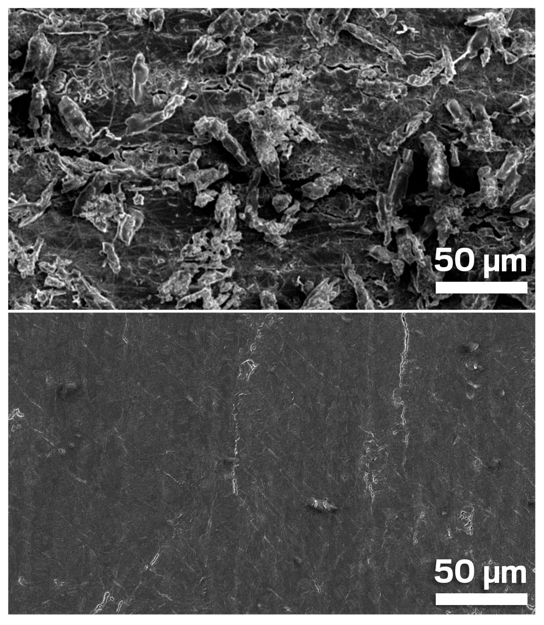 Two black-and-white scanning electron microscope images show a rough-textured surface in the top image and a smooth surface in the bottom image.