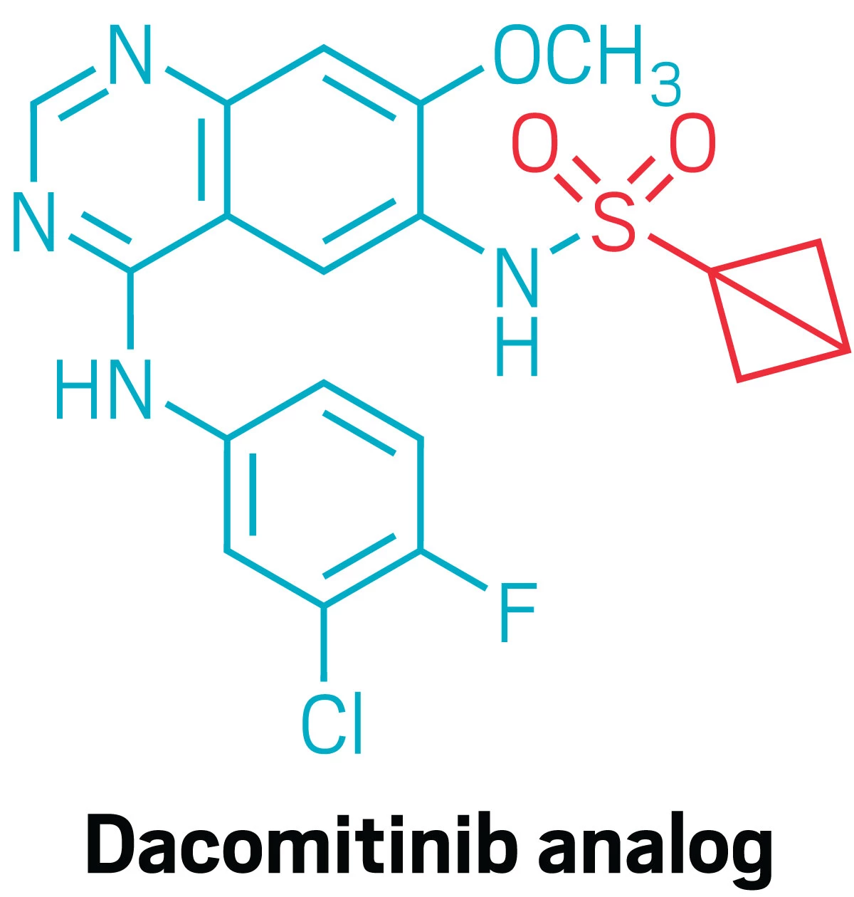 Structure of the bicyclobutane analog of dacomitinib with the new group highlighted in red.