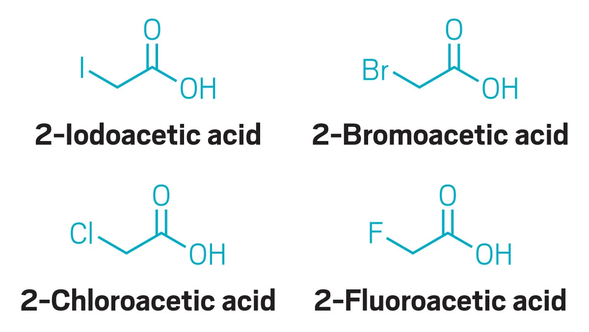Structures of iodoacetic acid, bromoacetic acid, chloroacetic acid, and fluoroacetic acid.