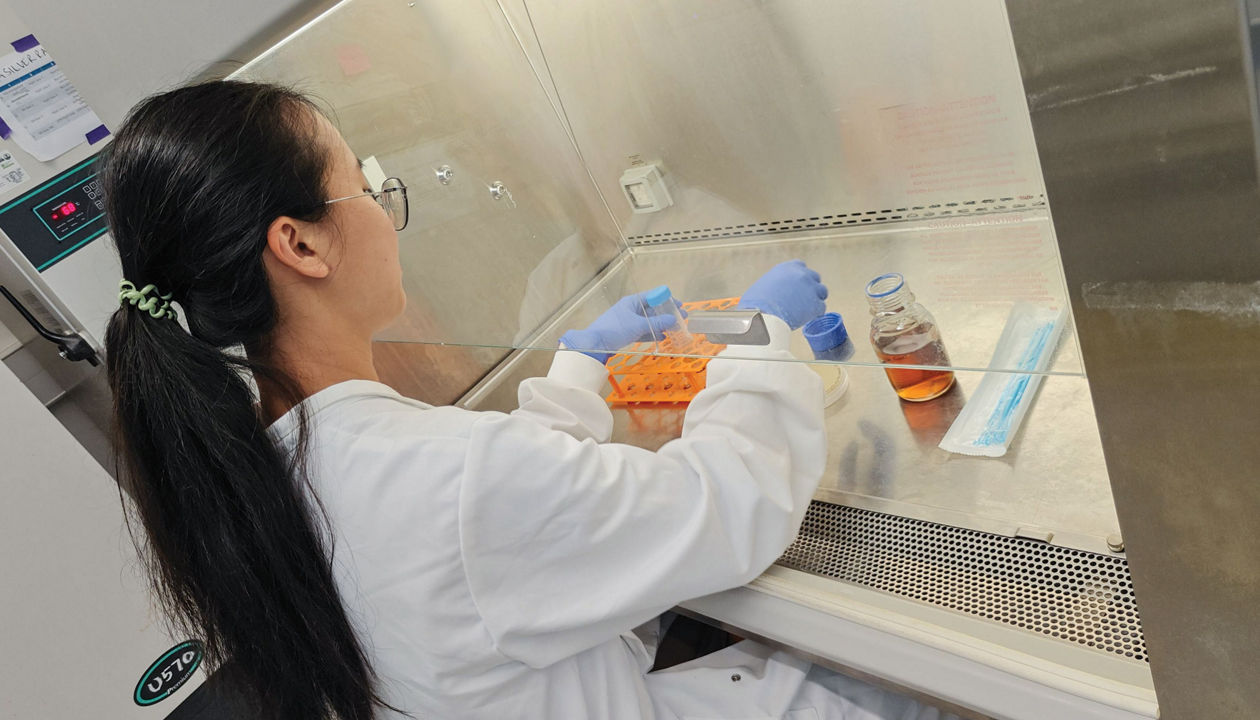 HydRegen raises funds for cell-free hydrogenase - Chemical & Engineering News