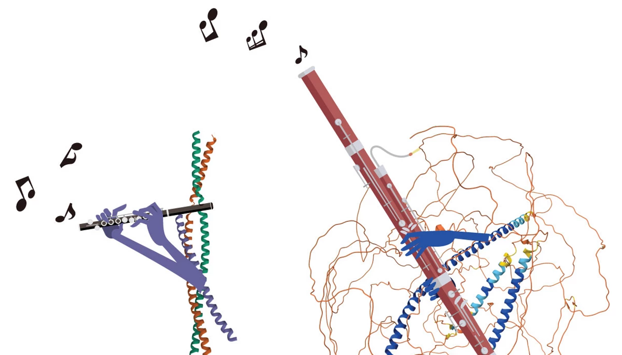 Music inspires proteins and scientists alike
