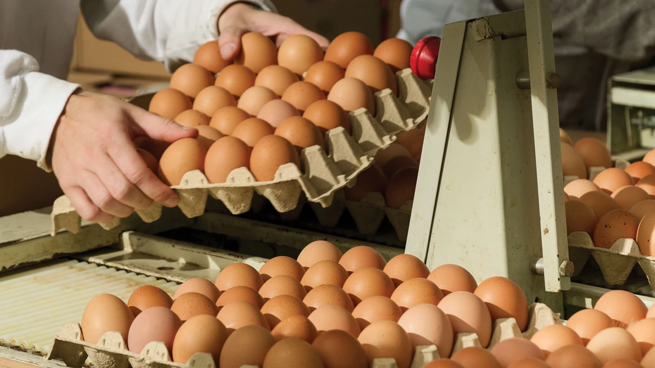 Consortium takes on challenges of advancing sustainable materials use commercially
