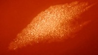 Serving the chemical, life science, and laboratory worlds