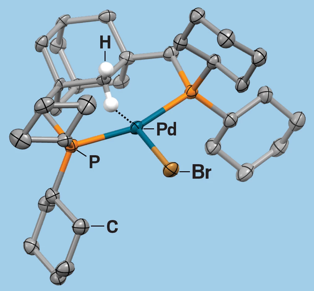 Chemists finally know why palladium beats nickel at C–H activation, image size:1015x943