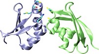 Serving the chemical, life science, and laboratory worlds