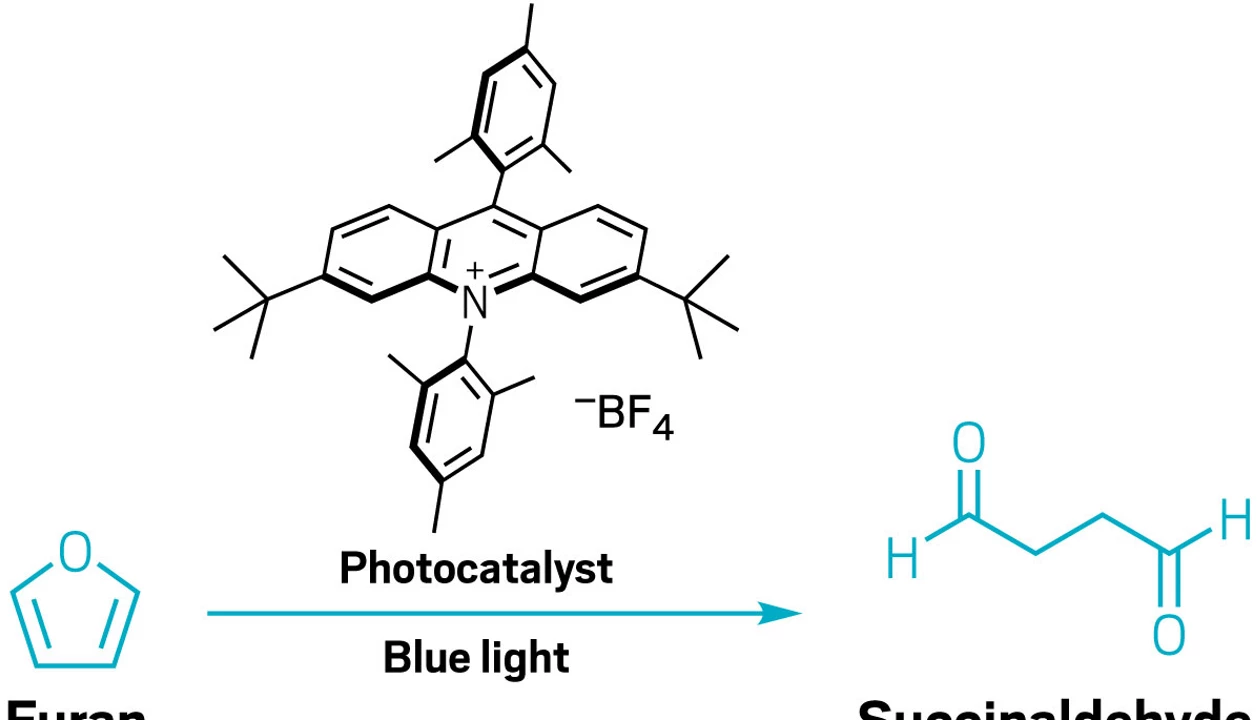 A schematic drawing shows furan reacting in the presence of a photocatalyst and blue light to form succinaldehyde.