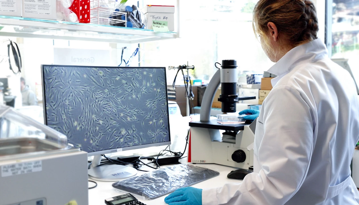How Haya Therapeutics is targeting the dark genome to treat fibrotic disease