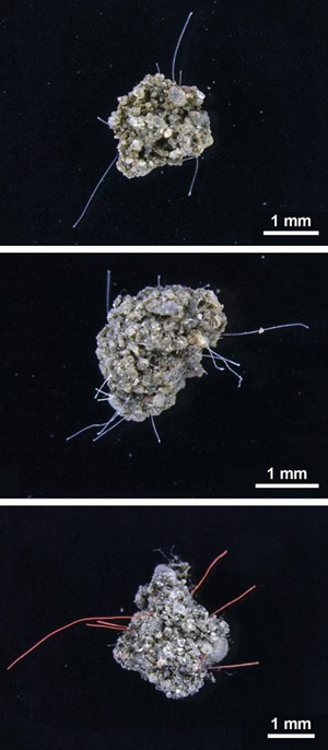 Três grupos escarpados de solo de cerca de 2 milímetros de todos os tempos vistos sob um microscópio. Cada grupo é composto de pequenas rochas cinza, marrom e translúcida e possui fibras plásticas de cabelo saindo dela.