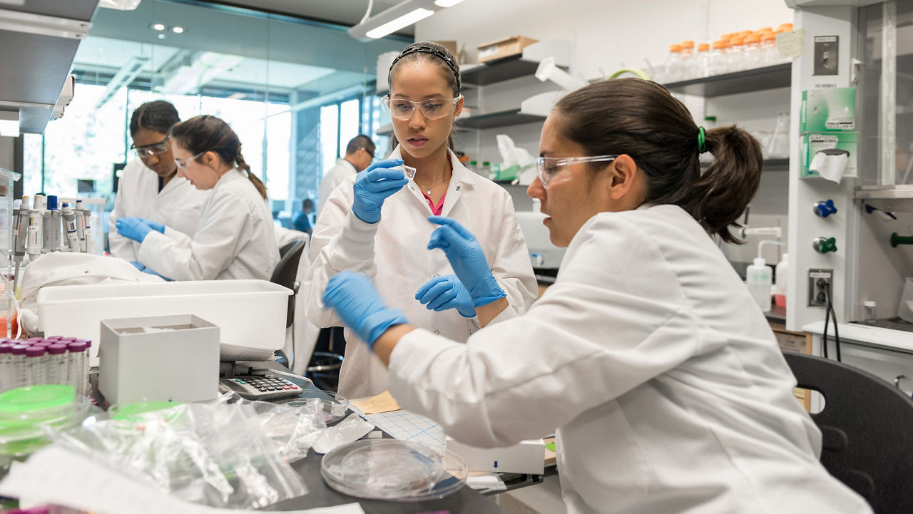 People in a lab wearing white lab coats, safety glasses, and blue gloves work at a table with test tubes and other items.