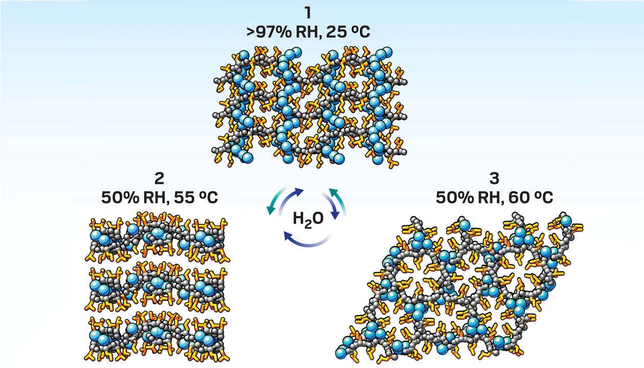Meet the Material That Changes Its Mind: How Humidity Is Reshaping the Future of Smart Materials