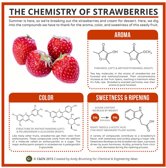 PeriodicGraphicsChemistryStrawberries