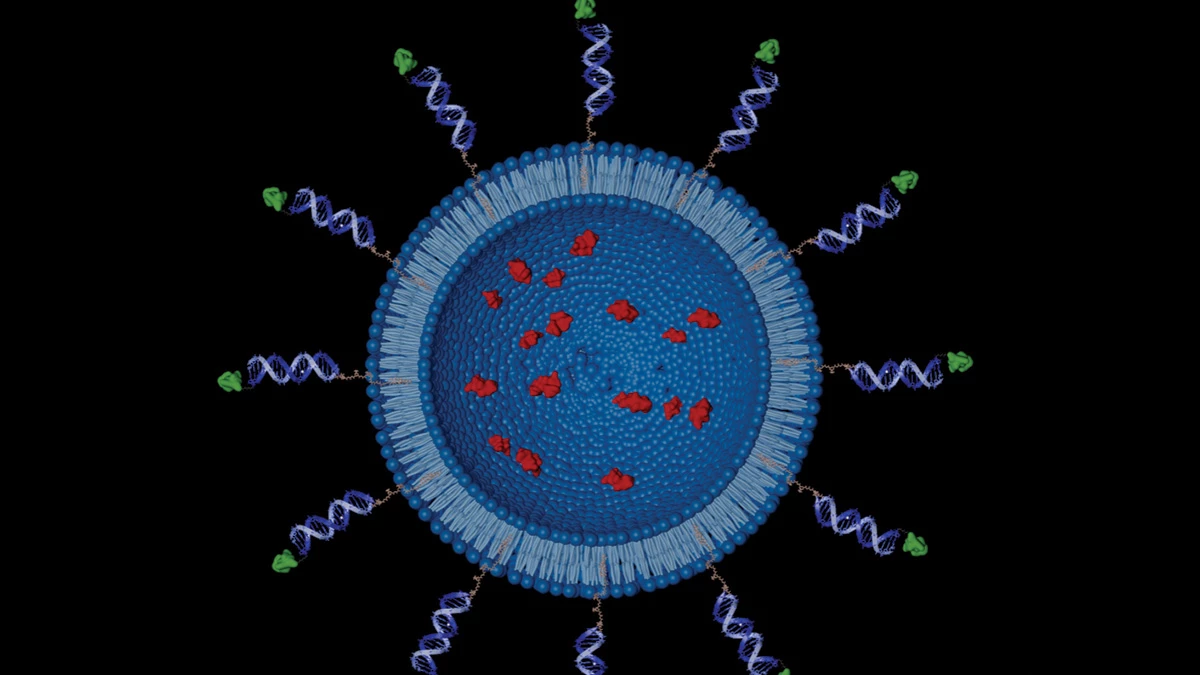 A spherical nanoparticle contains green antigens inside it, and sticking out of the nanoparticle are lengths of DNA helices with red peptides on the end.
