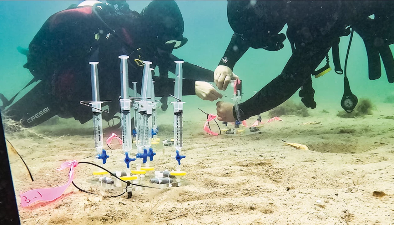 Can altering ocean chemistry fight climate change?